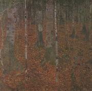 Birch Wood (mk20) Gustav Klimt